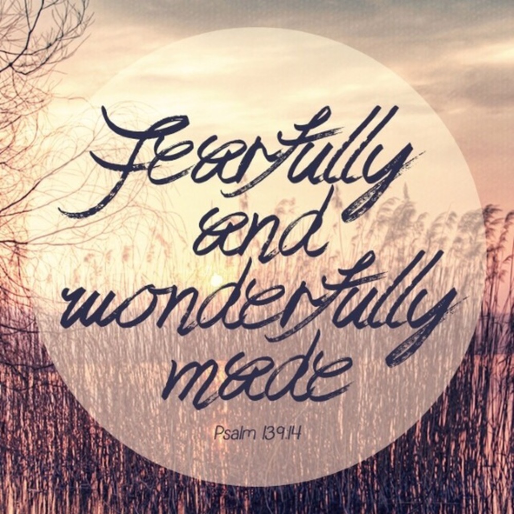 Meet your Posher, Stella